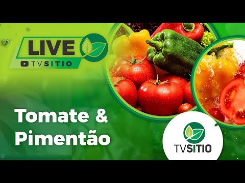 , title : 'Live - variedades de tomate e pimentão'