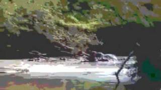 peace orchestra ( Peter Kruder ) - domination