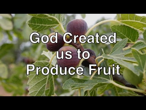 God Created us to Produce Fruit - Everette Byrd - August 4, 2024