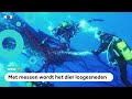 Duikers bevrijden walvis uit net