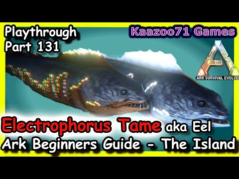 Eel Tame Ark💥 - Beginners Guide The Island Episode 131