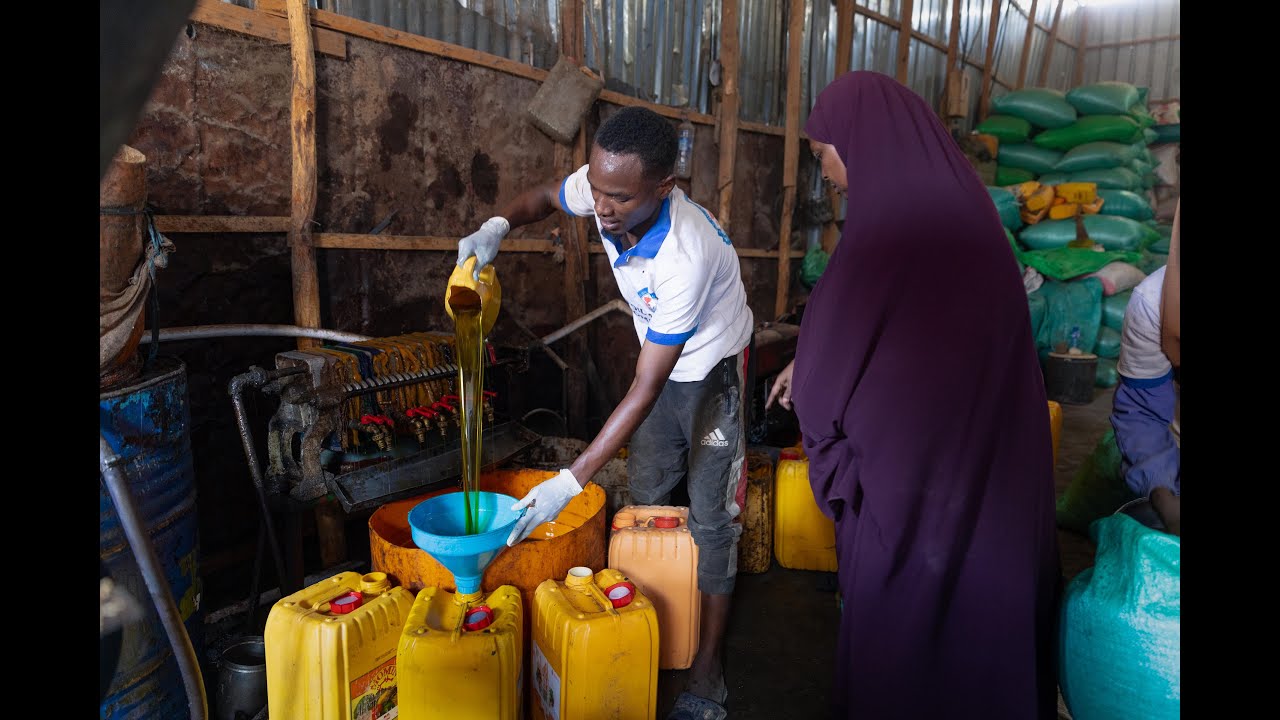 Saameynta: Creating jobs and livelihoods for displacement-affected communities in Baidoa