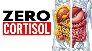How To Force Your Body To Melt Visceral Fat With Zero Cortisol