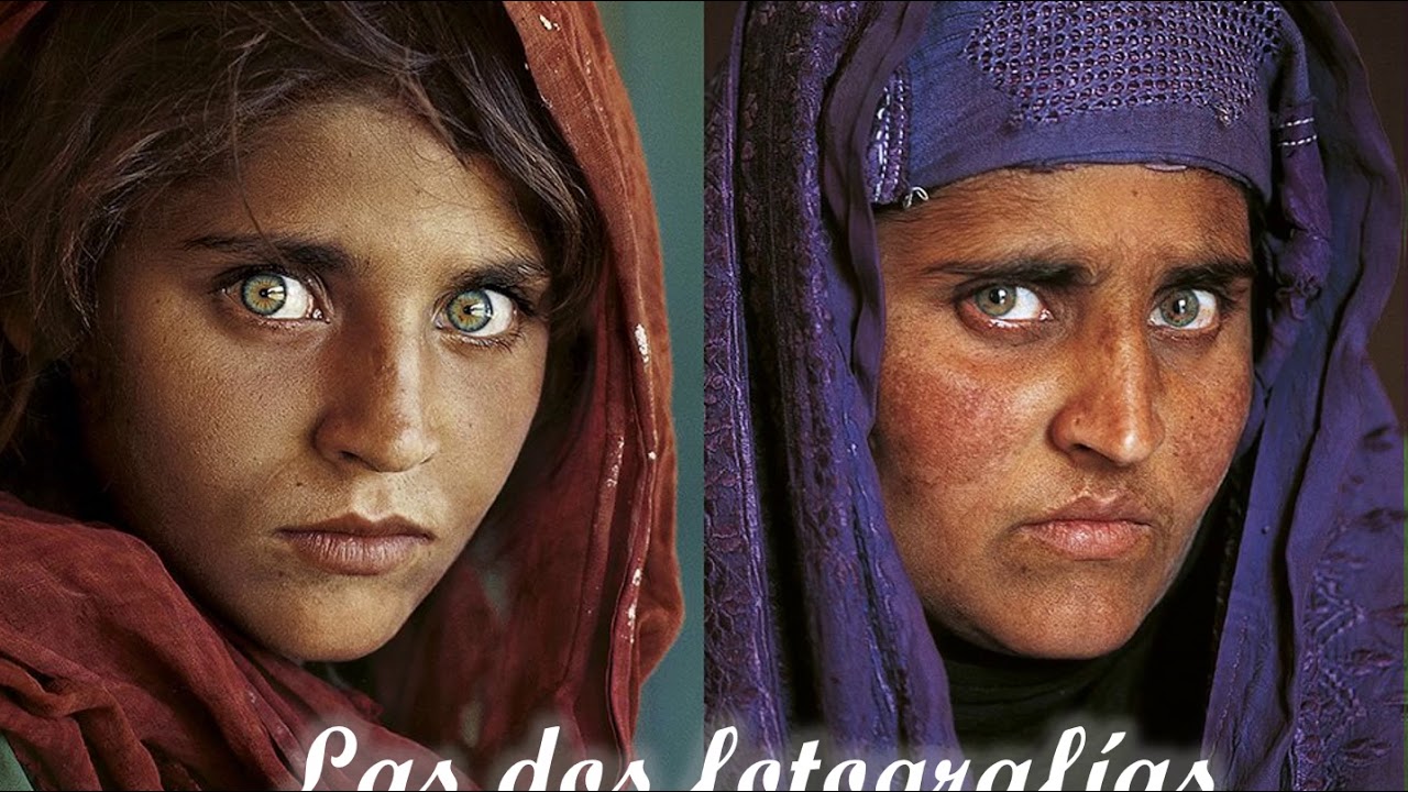 booktrailer de pinceladas