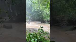 Download lagu Mae Wang Waterfall #travel #thailand mp3 Download lagu Mae Wang Waterfall #travel #thailand mp3