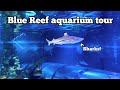 Blue Reef Aquarium Tour Hastings
