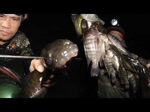 SE02EP050 Part 2 "PANGINGILAW " ISANG DIPANG BIYAYA - INSTANT HARVEST | Palakpakin Lake, SPC Laguna