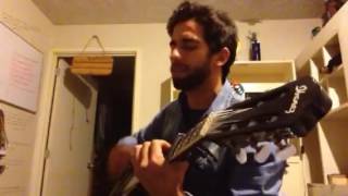 Girls: Lust for Life - Acoustic Cover