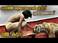 ഒരു കടുവയും മനുഷ്യനും കടലിൽ ഒറ്റപ്പെ