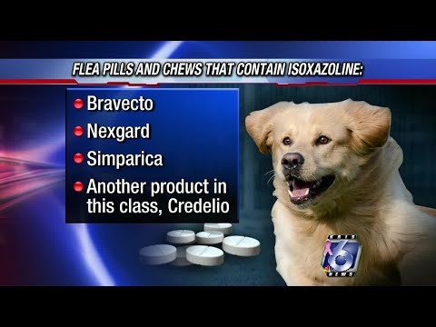 FDA: Flea, tick pills can cause neurological problems in pets