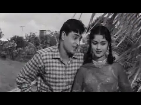 Poster teri pyari pyari surat lyrics – mohammed rafi