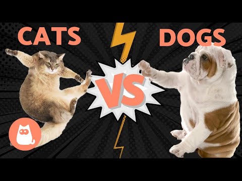 DOGS vs CATS - Who Wins Using Scientific Research?