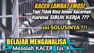 Download lagu SOLUSI UNTUK KACER LAMBAT EMOSI UNTUK PARA PEKERJA - BELAJAR MENGANALISA MASALAH KACER EPISODE 4 mp3 Download lagu SOLUSI UNTUK KACER LAMBAT EMOSI UNTUK PARA PEKERJA - BELAJAR MENGANALISA MASALAH KACER EPISODE 4 mp3