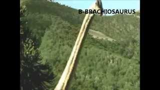 Dinosaurs Alphabet Song (with real dinosaurs)