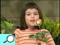 Noggin S Show Tell Flowers Elmo S World