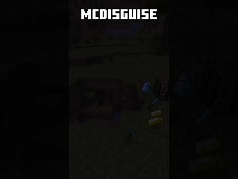 McDisguise - Minecraft Theory about Items Despawn
