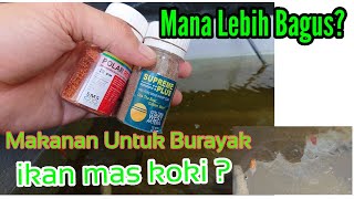 Download lagu Pakan/Makanan Burayak ikan mas koki ‼️Polar red atau Artemia? mp3 Download lagu Pakan/Makanan Burayak ikan mas koki ‼️Polar red atau Artemia? mp3
