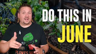 Secrets for Successful June Gardening