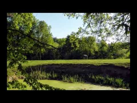 Revista Turism LIFE / Romanian Traditions