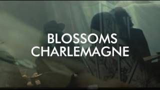Blossoms Charlemagne Subtitulada Español, Lyrics