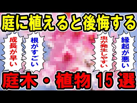 プールの近くに植えてはいけない木はどれですか?何のために ？最悪の5種は何ですか?そしてベスト5は？  庭園