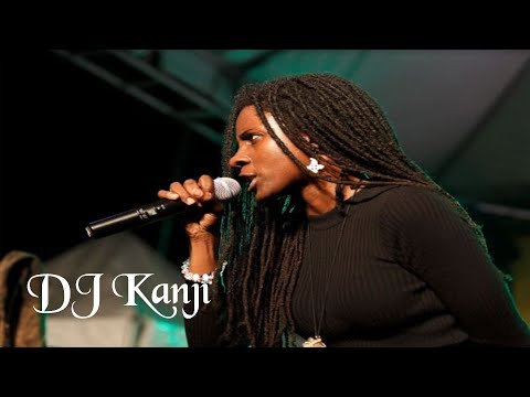 Reggae Covers Vol 2 (Dj Kanji)