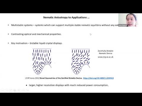 Partial Differential Equations and Applications Webinars - Apala Majumdar