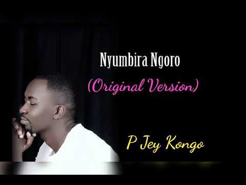 Nyumbira Ngoro (Original) - PJ Kongo