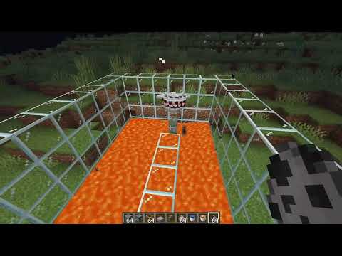 Wolf's anger on skeleton