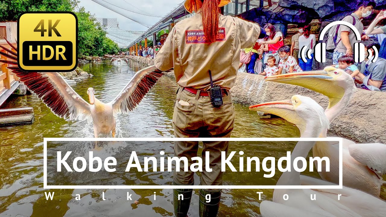 Embark on a walking tour through Kobe Animal Kingdom.