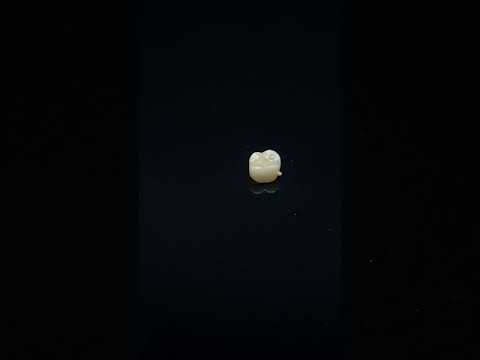 YouTube 썸네일