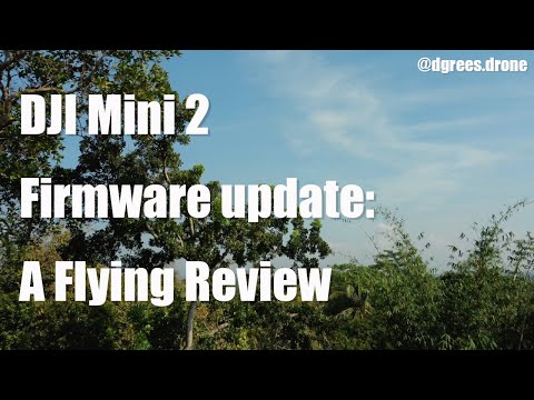DJI Mini 2 Firmware version 01.03.0000 Update: A Flying Review