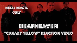 DEAFHEAVEN "Canary Yellow" Reaction Video | Metal Reacts Only | MetalSucks