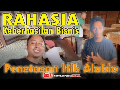 EPS  27 || Rahasia Keberhasilan Bisnis Penetasan Itik Alabio
