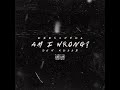 Am I Wrong Ft DSN Kellz Official Audio