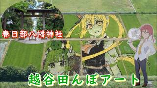 春日部八幡神社の大きな干支絵馬と小林さんちのメイドドラゴン（越谷田んぼアート）