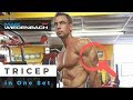 Triceps trained from all angles in one set!