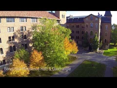 Saint John's University - video