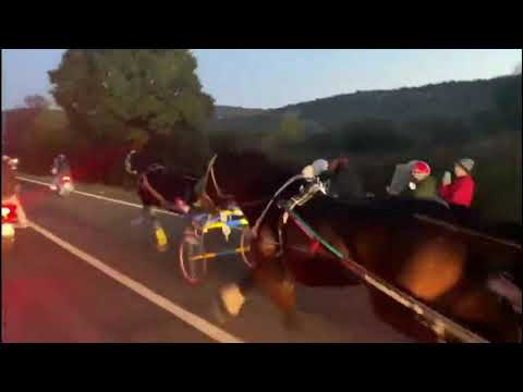 Siracusa - Corsa clandestina di cavalli 22.01.21)