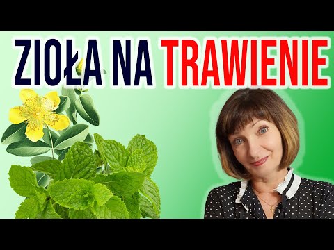 🍀 Zioła wspomagające trawienie. TOP 10 na zdrowy układ pokarmowy.