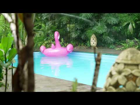 Welcome to Sanctuary in the Pocket