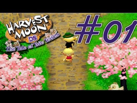 harvest moon ds cute nintendo ds