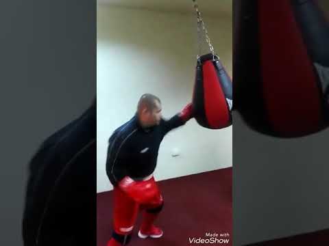 Prezentare boxer - Zenica Vasile Lucian