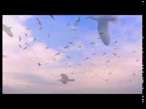 Rainer von Vielen - Der Gedanke an Dich