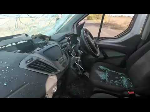 Help Ukrainian animals with our Emergency Fund.