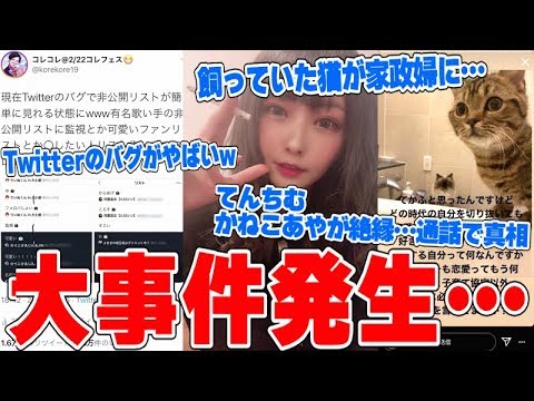 有名YouTuber同士のトラブルがやばい…てんちむ号泣、かねこあやの猫が家政婦に…Twitterのバグで非公開リスト流出で歌い手の彼女がバレるwww