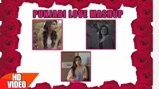 Punjabi Love Mashup 2016 | DJ Danish | Latest Romantic Songs | Speed Records