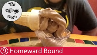 Carnival Spirit Cruise Vlog 2020 - Day 9 Homeward Bound