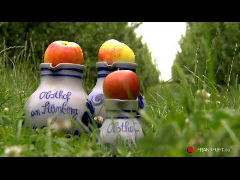 Frankfurt Nieder-Erlenbach - Stadt, Land, Flüsschen