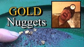 FULL DAY MINING !!! For Gold Nuggets, Flakes and Fines . Ask Jeff Williams